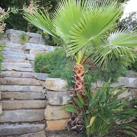 Casa Dos Pinheiros, Sesmarias, Albufeira *